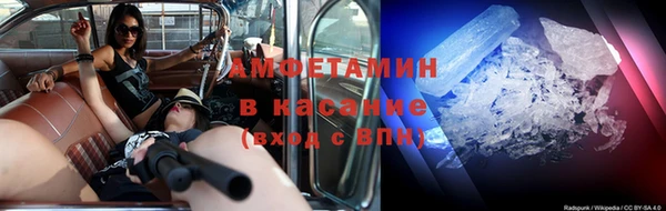 PSILOCYBIN Алзамай