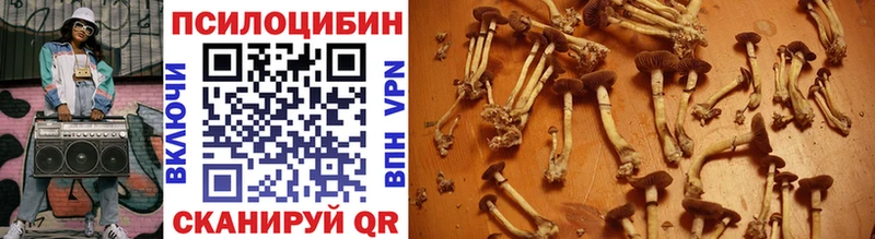 купить  цена  мега сайт  Галлюциногенные грибы Psilocybine cubensis  Лахденпохья 