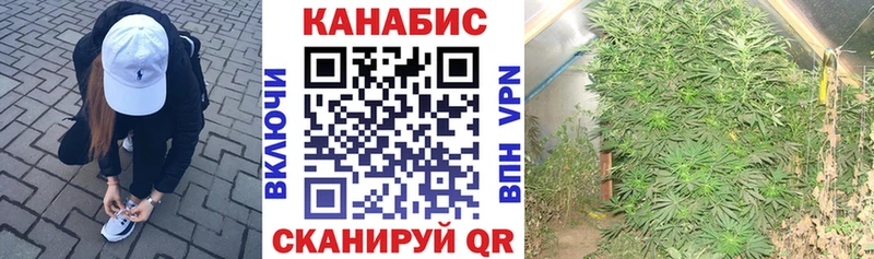 Шишки марихуана конопля  Лахденпохья 